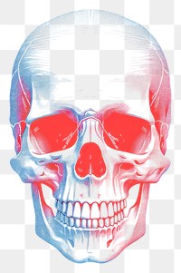 PNG Skull white background anthropology portrait. 