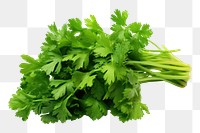 PNG Parsley plant bunch green. 