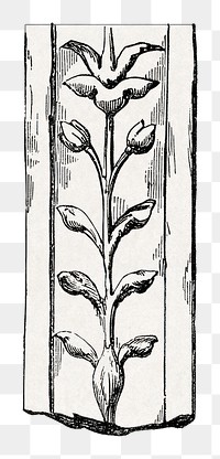 PNG vintage botanical ornament, transparent background