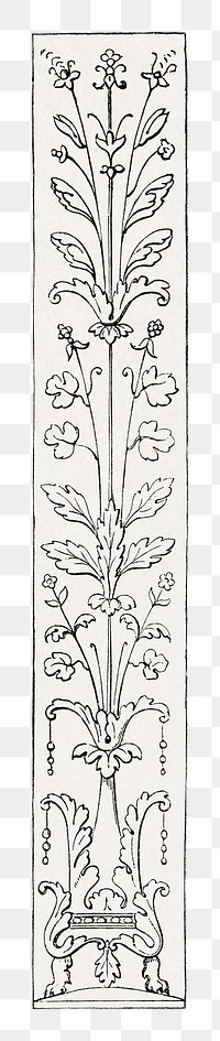 PNG vintage botanical ornament element, transparent background