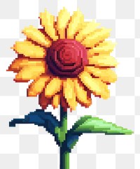 PNG Sunflower art petal plant. AI generated Image by rawpixel.