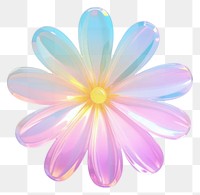 PNG  Daisy flower petal plant white background