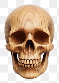 Minimal skull wood white background anthropology. AI generated Image by rawpixel.