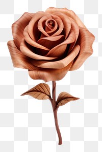 Rose flower plant white background inflorescence. AI generated Image by rawpixel.