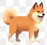 PNG Shiba inu mammal animal fox. 