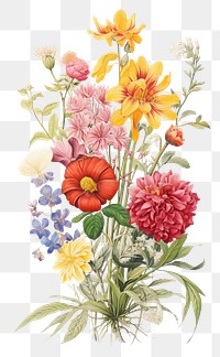 PNG Flower bouquet painting pattern plant