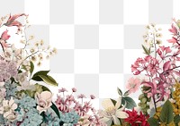 PNG Botanic seamless border flower backgrounds pattern