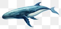PNG Whale animal mammal fish. 