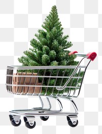 PNG Christmas plant tree cart. 