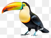 PNG Toucan animal bird beak. AI generated Image by rawpixel.