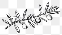 PNG  Olive branch drawing sketch plant. AI generated Image by rawpixel.
