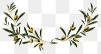 PNG  Circle olive branch plant herbs leaf. AI generated Image by rawpixel.