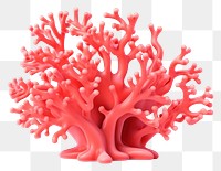 PNG  Cartoon sea coral nature white background invertebrate. AI generated Image by rawpixel.