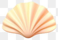 PNG  Cartoon sea shell white background invertebrate simplicity. AI generated Image by rawpixel.