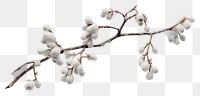PNG Blossom branch nature flower. AI generated Image by rawpixel.