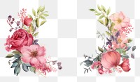 PNG Flower frame pattern plant inflorescence. AI generated Image by rawpixel.