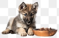 PNG  Puppy dog mammal animal. AI generated Image by rawpixel.