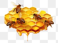 PNG Honeycomb bee hexagon insect. 