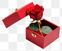 PNG Gift rose box flower. AI generated Image by rawpixel.