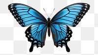 PNG  Blue butterfly animal insect white background. AI generated Image by rawpixel.
