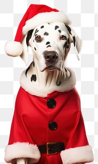 PNG Christmas Dalmatian dog in Santa costume. AI generated Image by rawpixel.