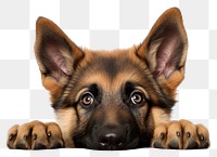 PNG German shepherd dog peeking mammal animal. 