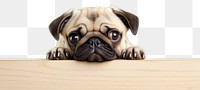 PNG Pug dog animal mammal puppy. AI generated Image by rawpixel.