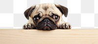 PNG Pug dog animal mammal puppy. 