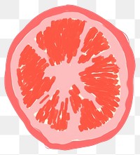 PNG Tomato grapefruit food white background. AI generated Image by rawpixel.