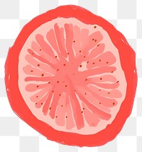 PNG Tomato grapefruit food white background. AI generated Image by rawpixel.