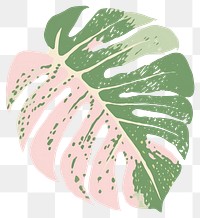 PNG Monstera leaf plant white background pattern. 