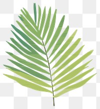 PNG Palm leaf backgrounds plant fern. AI generated Image by rawpixel.