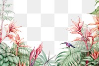 PNG  Humming birds plant backgrounds outdoors. .
