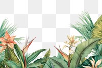 PNG  Tropical botanical flower plant backgrounds. .
