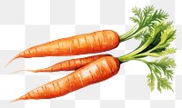 PNG Carrots vegetable plant food. 