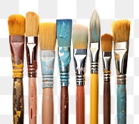 PNG  Row of artist paintbrushes closeup tool white background creativity. .
