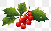 PNG Holly cherry plant fruit. AI generated Image by rawpixel.