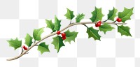 PNG Holly plant leaf tree. AI generated Image by rawpixel.
