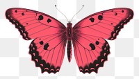 PNG Butterfly animal insect yellow. AI generated Image by rawpixel.