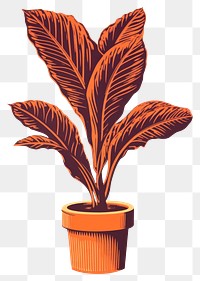 PNG Plant leaf art houseplant. AI generated Image by rawpixel.