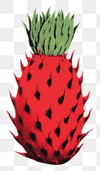 PNG Dragon fruit strawberry plant green. 