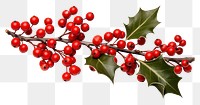 PNG Branch cherry plant holly. AI generated Image by rawpixel.