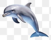 Dolphin Waving animal mammal fish. AI generated Image by rawpixel.