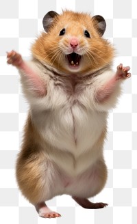 PNG Happy smiling hamster dance mammal rodent animal. AI generated Image by rawpixel.