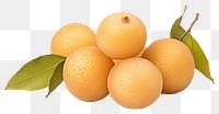 PNG Longan fruit plant food. AI generated Image by rawpixel.