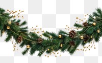 PNG Christmas conifer branch plant