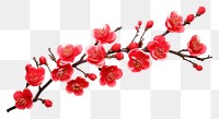 PNG Ornmanet blossom flower plant. AI generated Image by rawpixel.