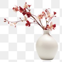 PNG Aesthetic flower vase blossom plant white. 