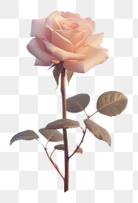 PNG Aesthetic rose against sky outdoors blossom nature. AI generated Image by rawpixel.
