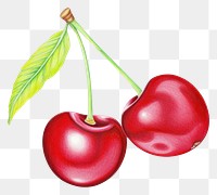 PNG Cherry fruit plant food. AI generated Image by rawpixel.